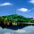 青林湖 青林湖