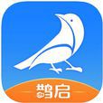 鵲啟家裝 鵲啟家裝