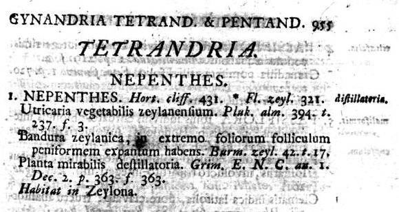 1753年林奈的《植物種志》中的豬籠草屬部分