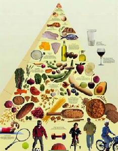 地中海飲食金字塔