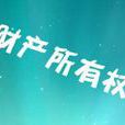 資產所有權 資產所有權