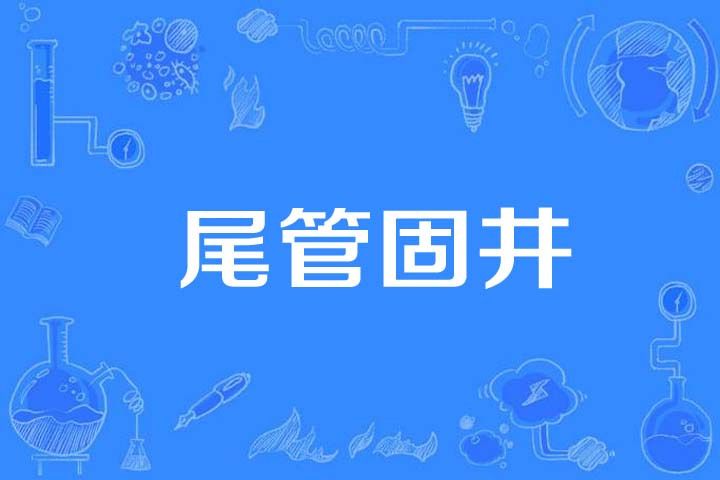 尾管固井 尾管固井