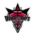 遼寧巨龍隊 遼寧巨龍隊