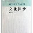文化探步 文化探步