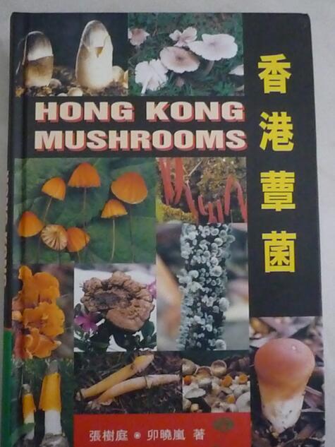 香港蕈菌 香港蕈菌