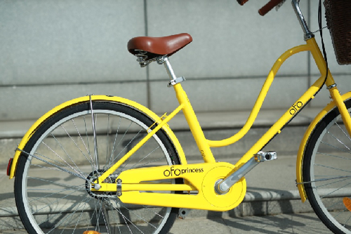 公主車 公主車