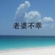 老婆不乖 老婆不乖