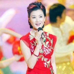 衣洪波 衣洪波