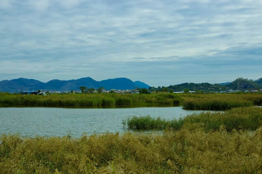 青草圩 青草圩
