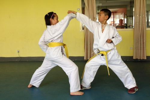 唐手(唐手拳) 唐手(唐手拳)