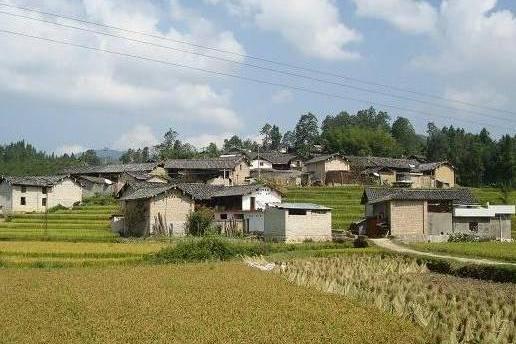 柯家山村