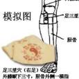 益歲甲馬 益歲甲馬