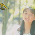 蘭花草(卓依婷翻唱歌曲) 蘭花草(卓依婷翻唱歌曲)