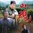 山魂(2007年1月1日徐成林、梁斌執導的劇情電影) 山魂(2007年1月1日徐成林、梁斌執導的劇情電影)