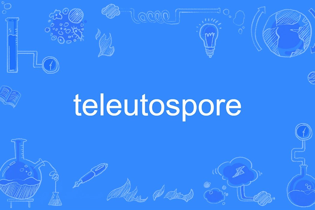 teleutospore teleutospore