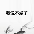 我說不愛了 我說不愛了