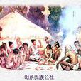 血緣家族公社 血緣家族公社