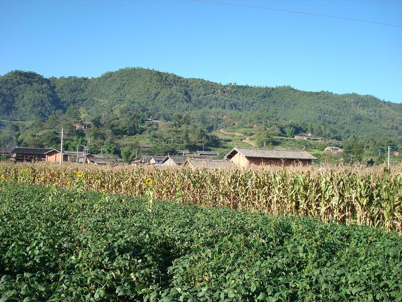 卡補村(雲南省祿勸縣撒營盤鎮下轄村) 卡補村(雲南省祿勸縣撒營盤鎮下轄村)