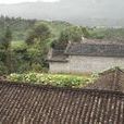 坪子自然村(雲南省隴川縣清平鄉坪子自然村) 坪子自然村(雲南省隴川縣清平鄉坪子自然村)