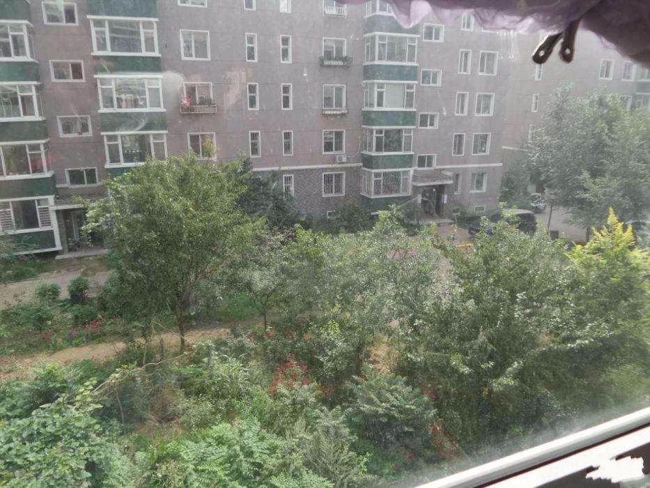 蘭亭花園 蘭亭花園