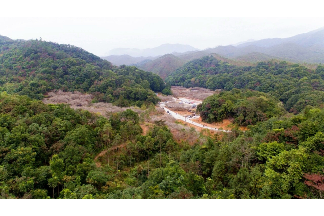 黃羌林場 黃羌林場