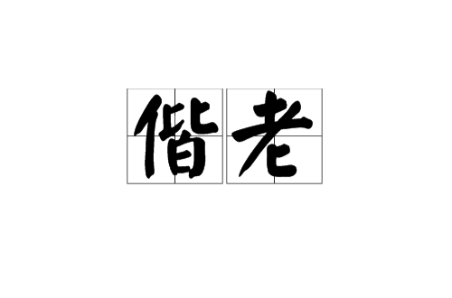 偕老(漢語詞語)