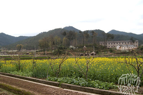 歌山窯址 歌山窯址