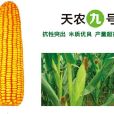 天農九 天農九
