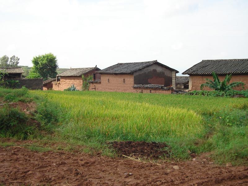 中旦勞村 中旦勞村