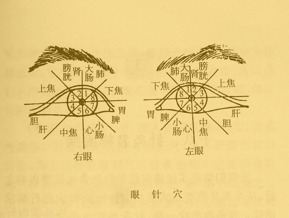 眼針法 眼針法