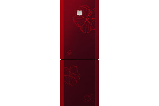 LG GR-Q27NCKE LG GR-Q27NCKE
