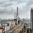楊浦大橋 楊浦大橋