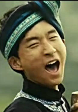 天琴(2013年江秀佳導演電影)