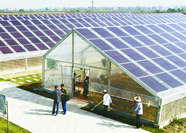 薄膜太陽能農業大棚