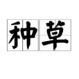 種草 種草