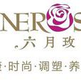 六月玫瑰 六月玫瑰