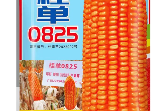 桂單0825 桂單0825