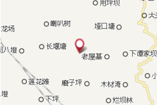 梓桐大隊 梓桐大隊