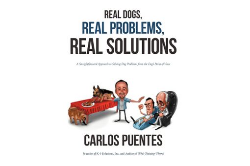 Real People, Real Problems, Real Solutions Real People, Real Problems, Real Solutions