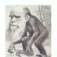 達爾文顯靈