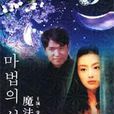 魔法之城(李娜英主演韓劇) 魔法之城(李娜英主演韓劇)