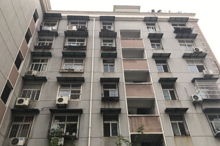 建新家園 建新家園