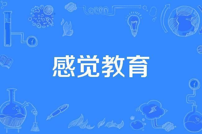 感覺教育 感覺教育
