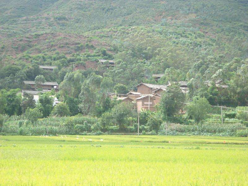 公吉村 公吉村
