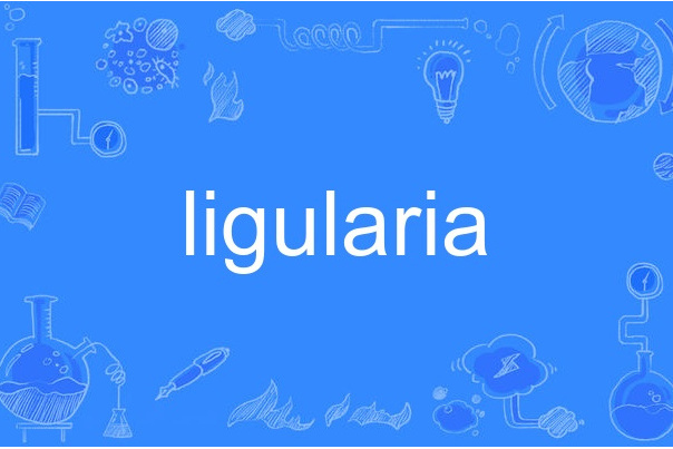 ligularia ligularia
