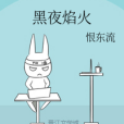黑夜焰火 黑夜焰火