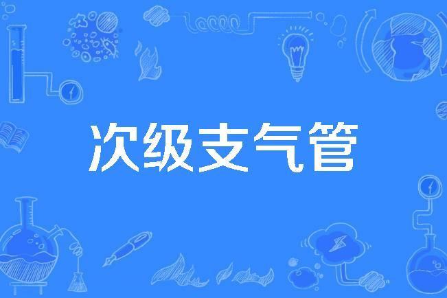 次級支氣管 次級支氣管