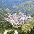 黃圓平村 黃圓平村