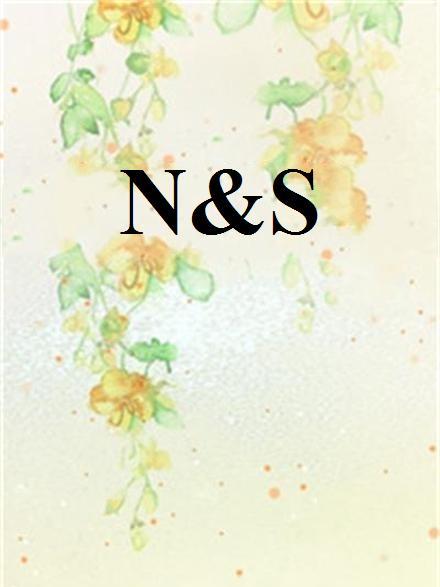 N&S(落顏初見創作的網路小說)