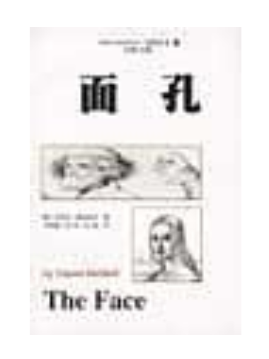 面孔(丹尼爾·麥克尼爾所著書籍) 面孔(丹尼爾·麥克尼爾所著書籍)